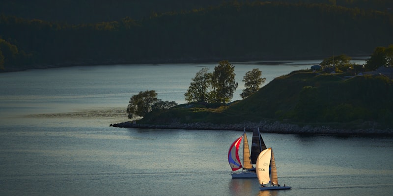 Regata Dunării - Ediția a V-a